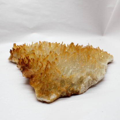 Golden Healer Quartz Cluster #003