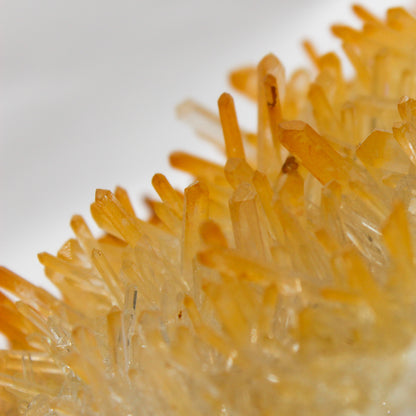 Golden Healer Quartz Cluster #003
