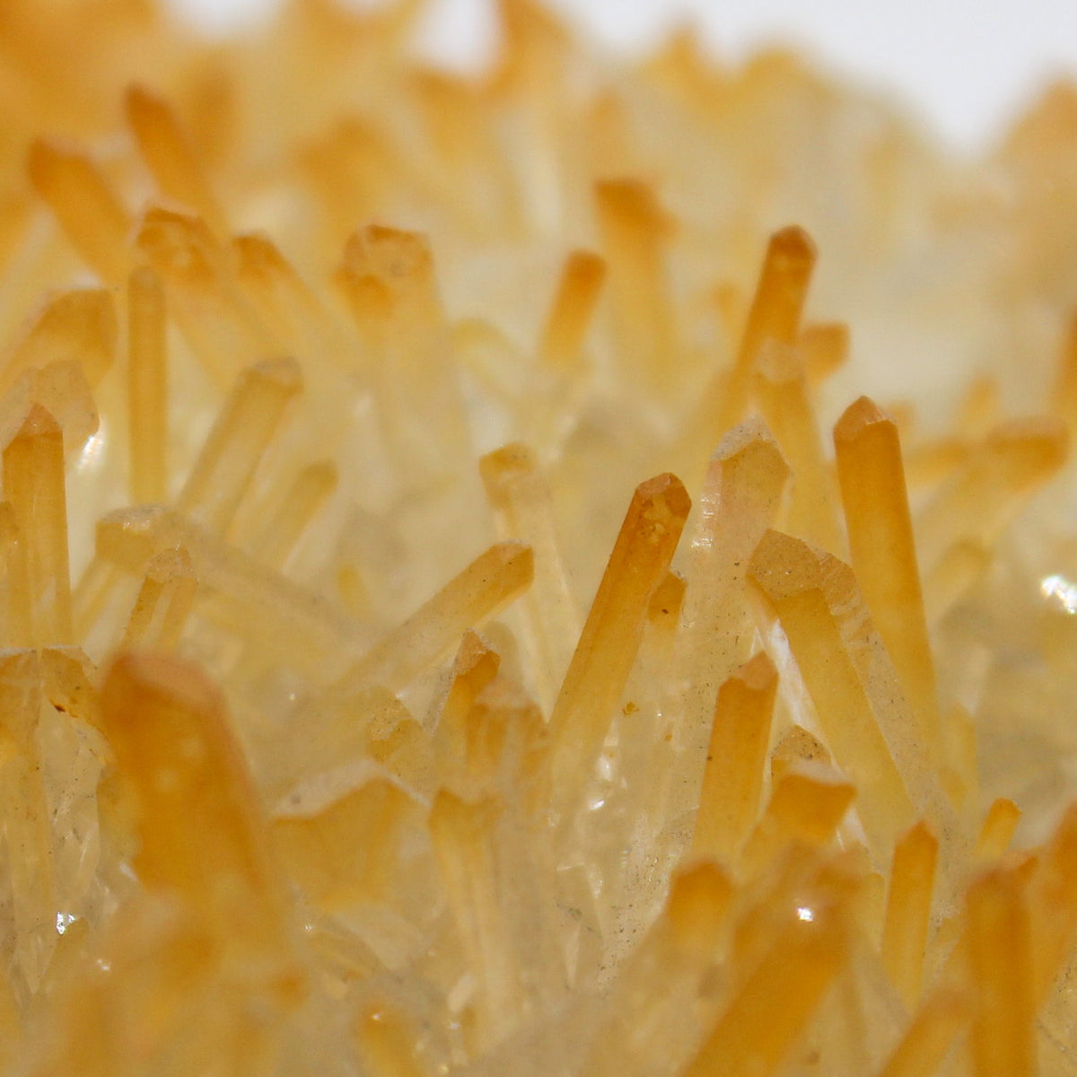 Golden Healer Quartz Cluster #003