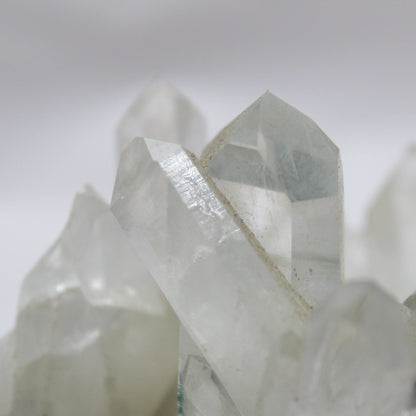 Chlorite Cluster #003