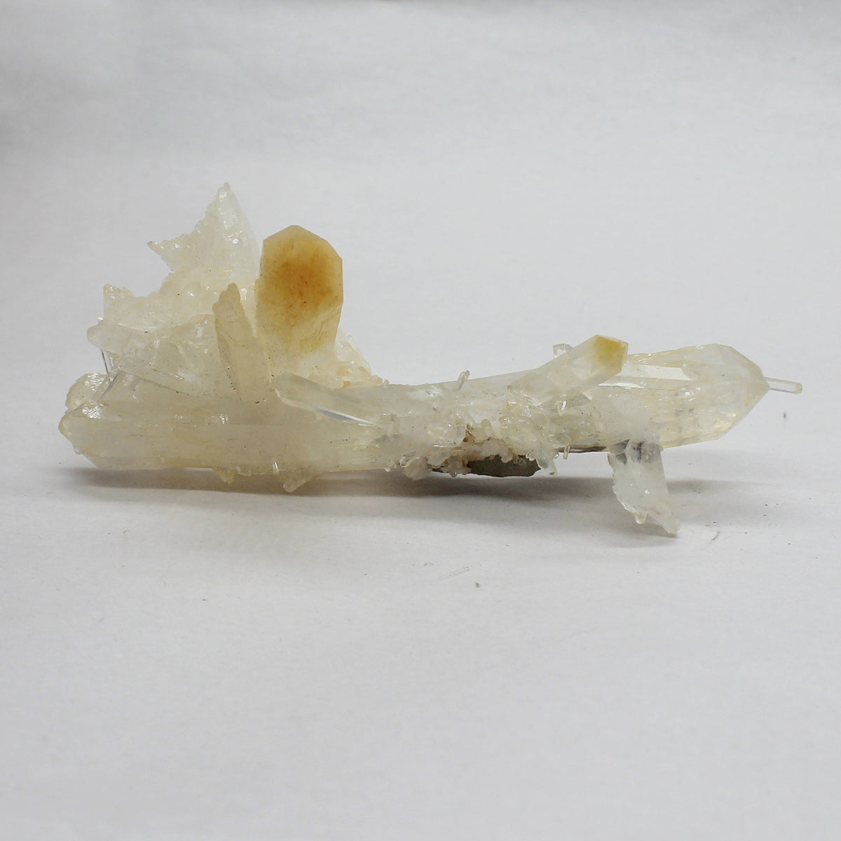 Mango Quartz Points #010