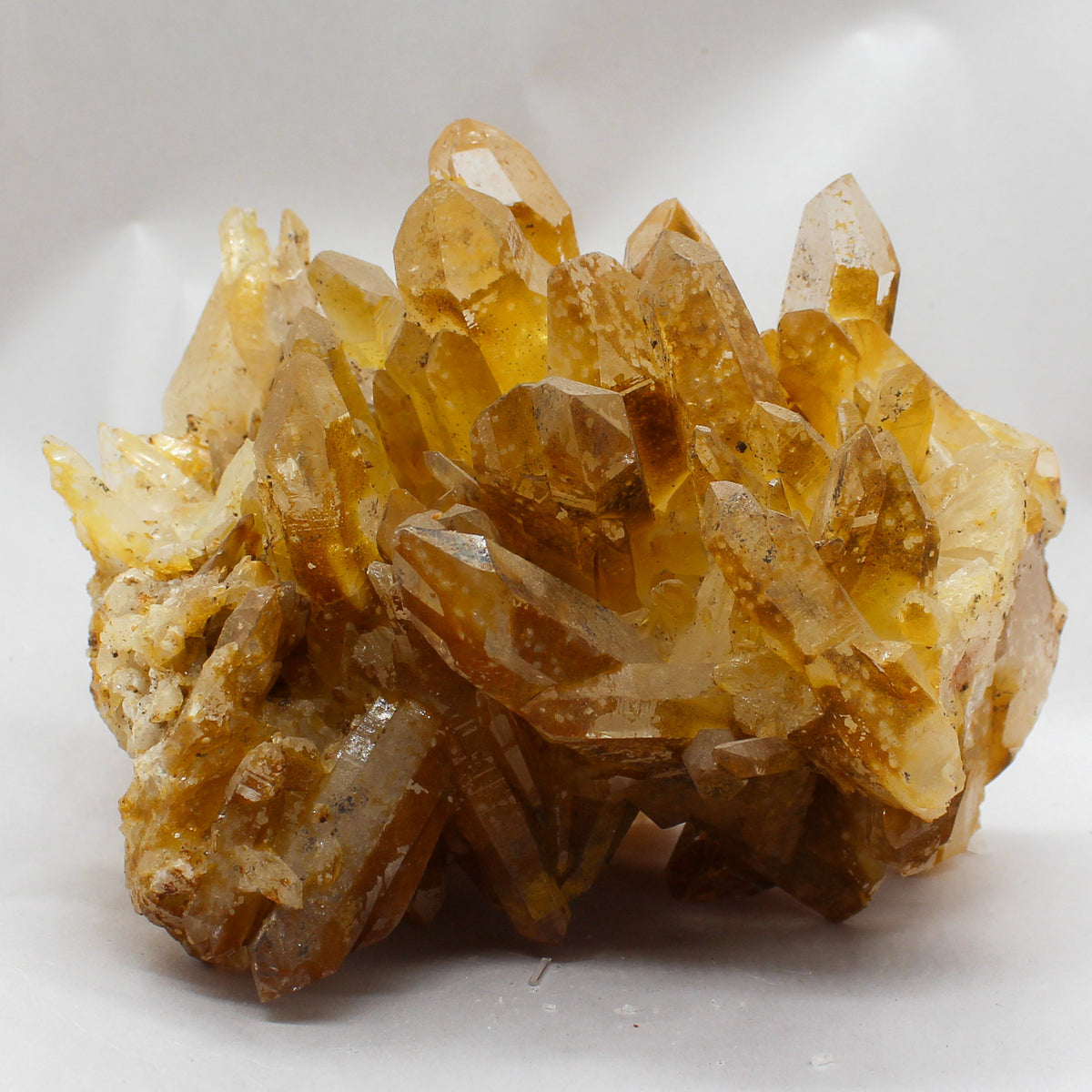 Golden Healer Quartz Cluster #005