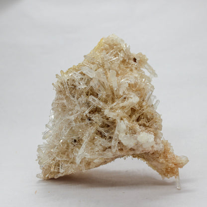 Mango Quartz Wholesale #004