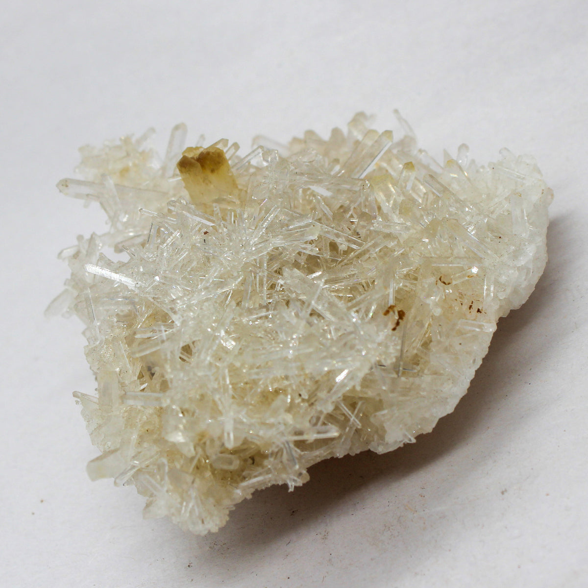 Mango Quartz Wholesale #004