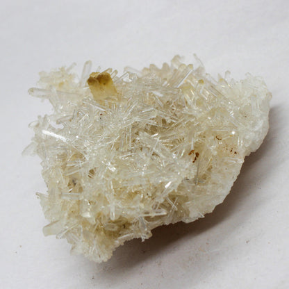 Mango Quartz Wholesale #004
