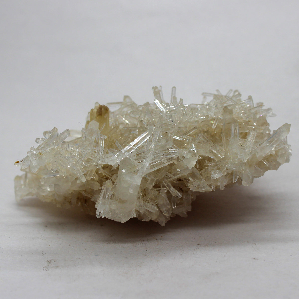Mango Quartz Wholesale #004