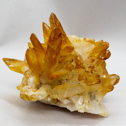 Golden Healer Cluster #001