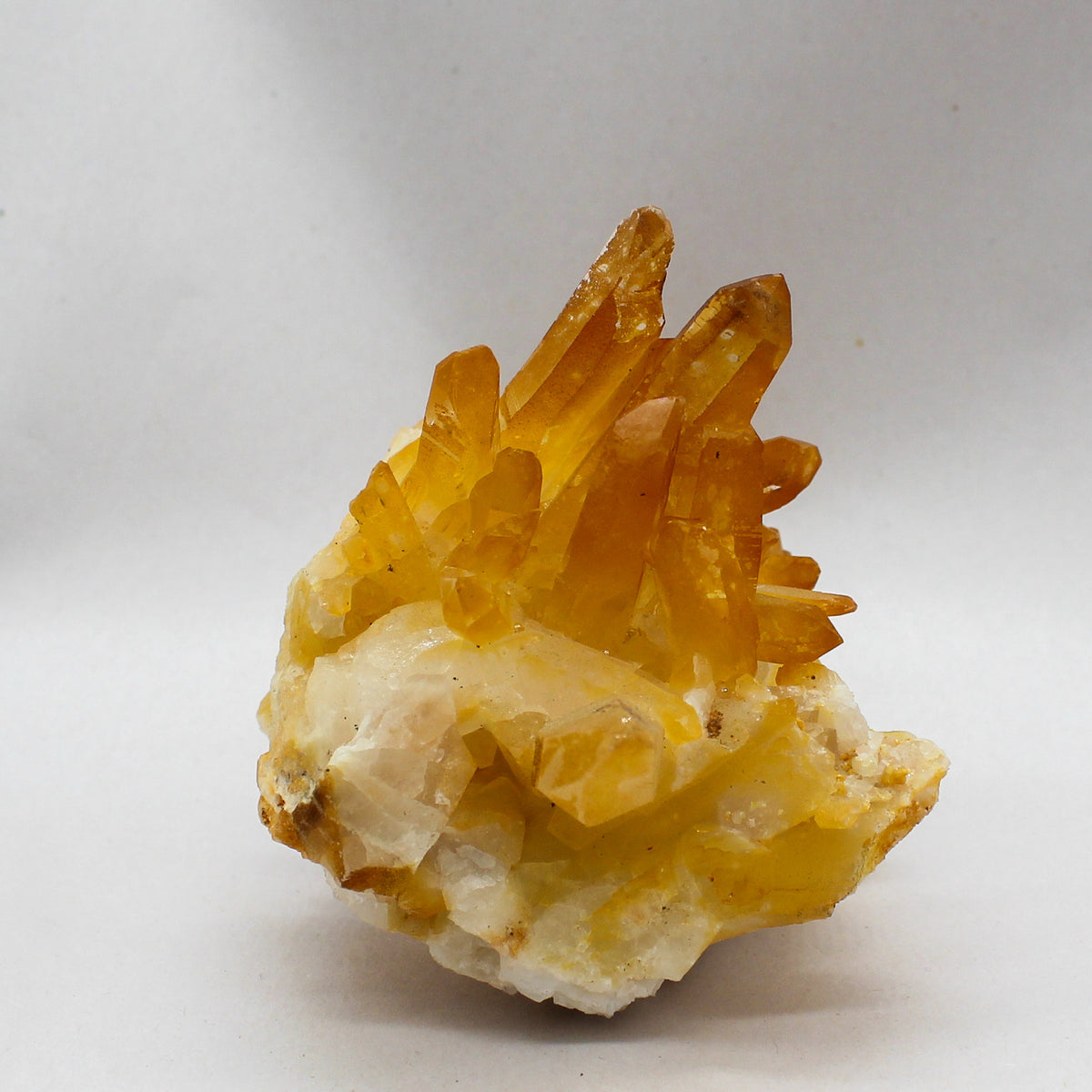 Golden Healer Cluster #001