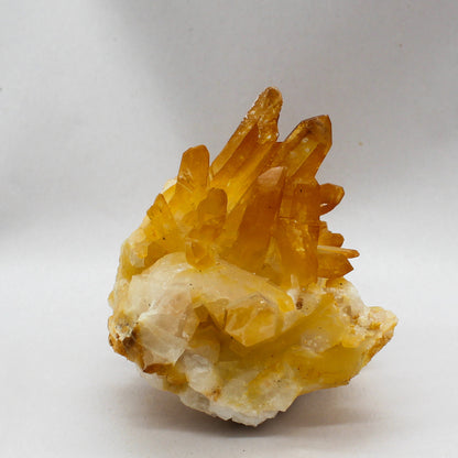Golden Healer Cluster #001
