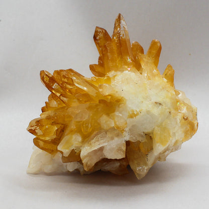 Golden Healer Cluster #001