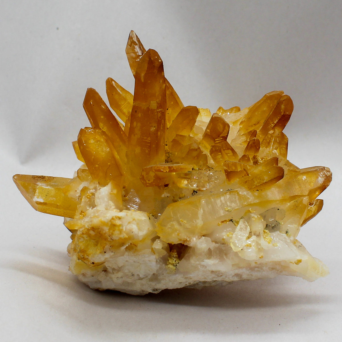 Golden Healer Cluster #001